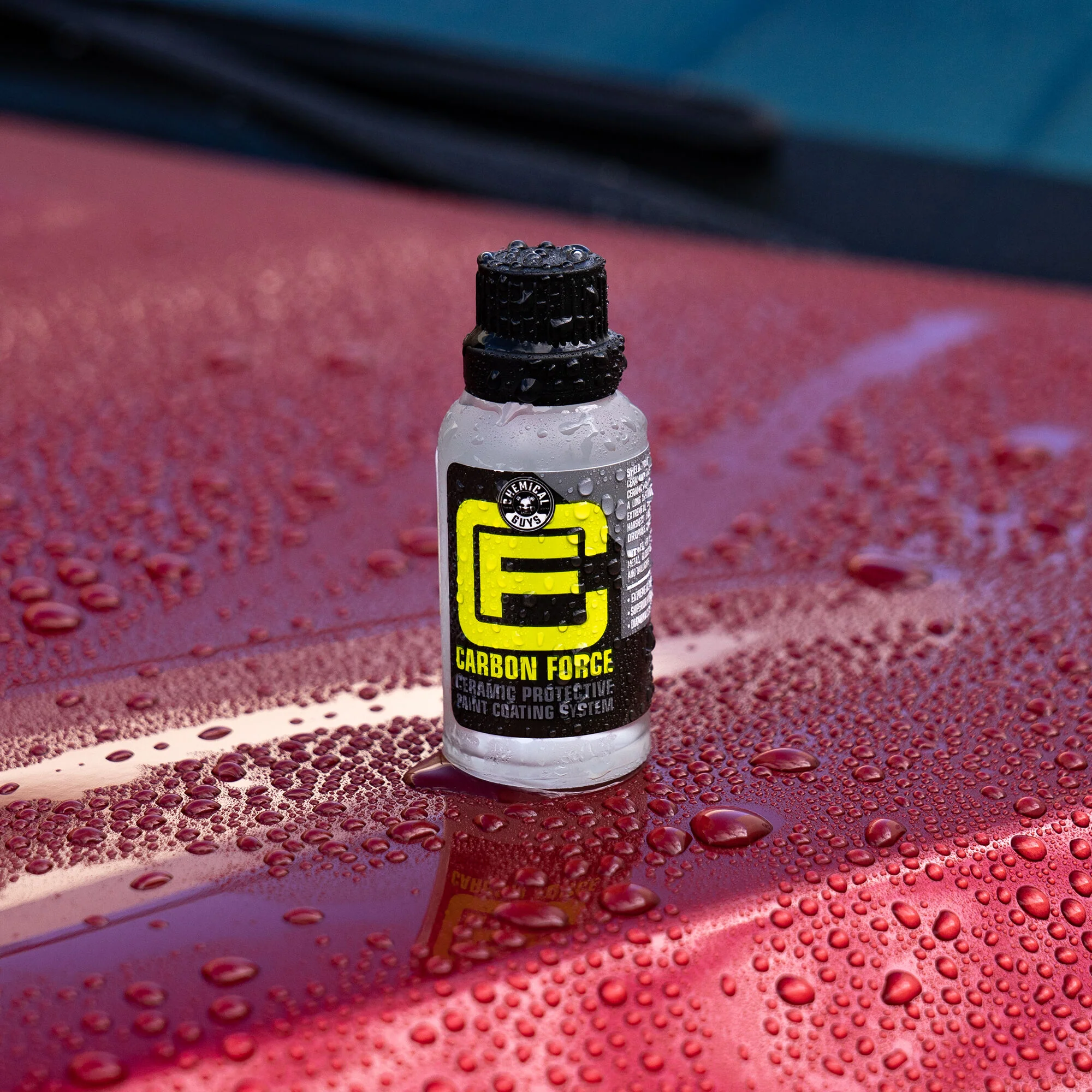 Alternative view of Carbon Force Ceramic Protective Paint Coating System