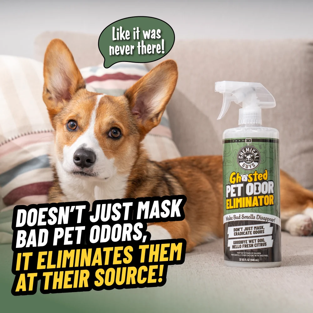 Alternative view of Ghosted Pet Odor Eliminator